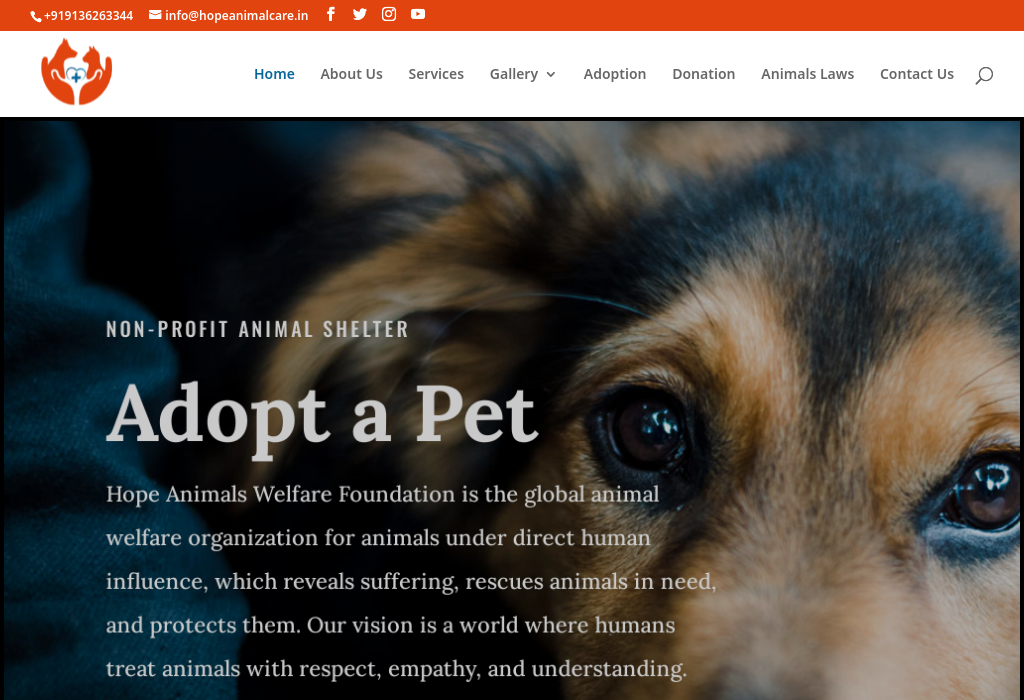 Hope Animals Welfare Foundation