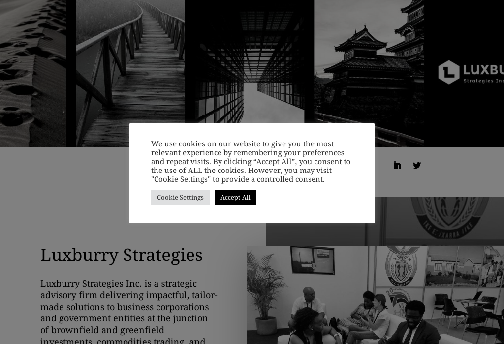 Luxburry Strategies Inc