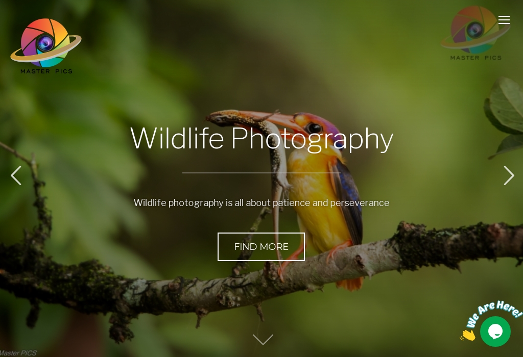 Optimized Best Photographer in Mumbai Masterpics.in